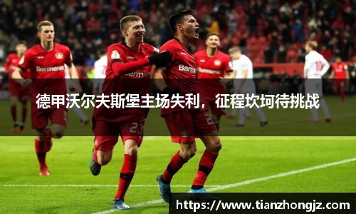 德甲沃尔夫斯堡主场失利，征程坎坷待挑战