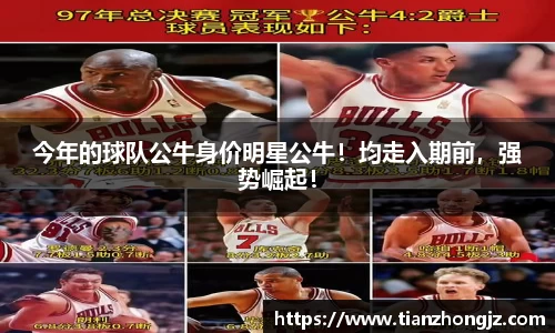 今年的球队公牛身价明星公牛！均走入期前，强势崛起！